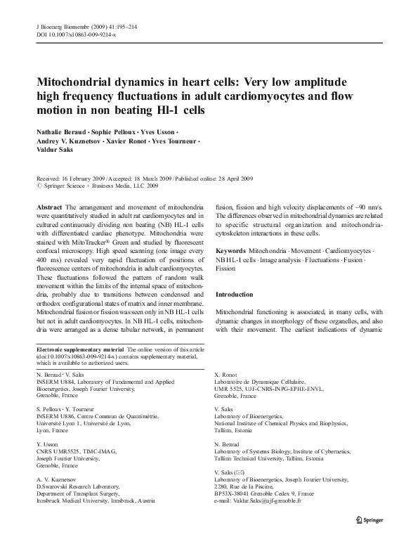 (PDF) Mitochondrial Dynamics In Heart Cells: Very Low Amplitude High ...
