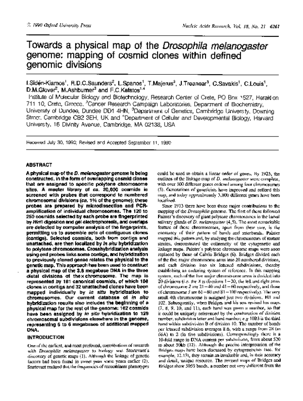 (PDF) Towards a physical map of the Drosophila melanogaster genome ...