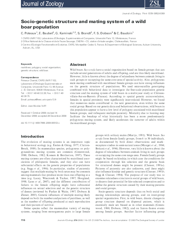 Socio-genetic structure and mating system of a wild boar population