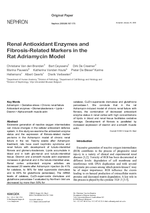 (PDF) Renal Antioxidant Enzymes and Fibrosis-Related Markers in the Rat ...