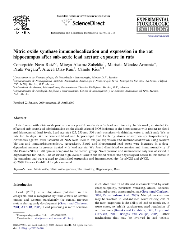 (PDF) Nitric oxide synthase immunolocalization and expression in the ...