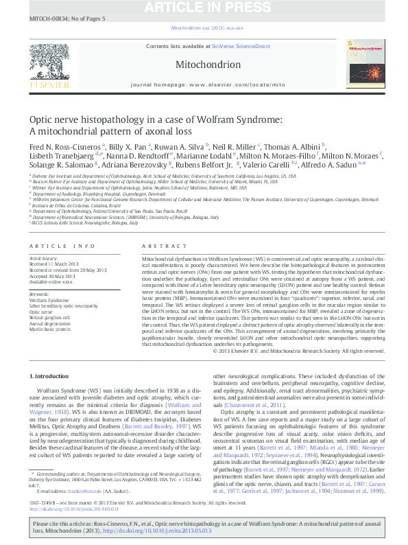 Pdf Mitochondrial Optic Neuropathies Additional Facts And Concepts