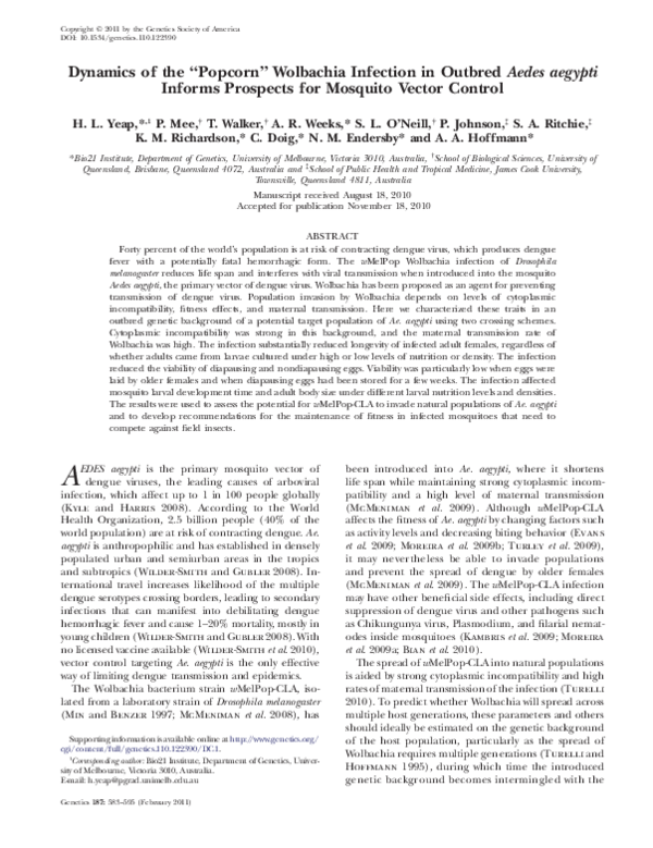 (PDF) Dynamics of the 