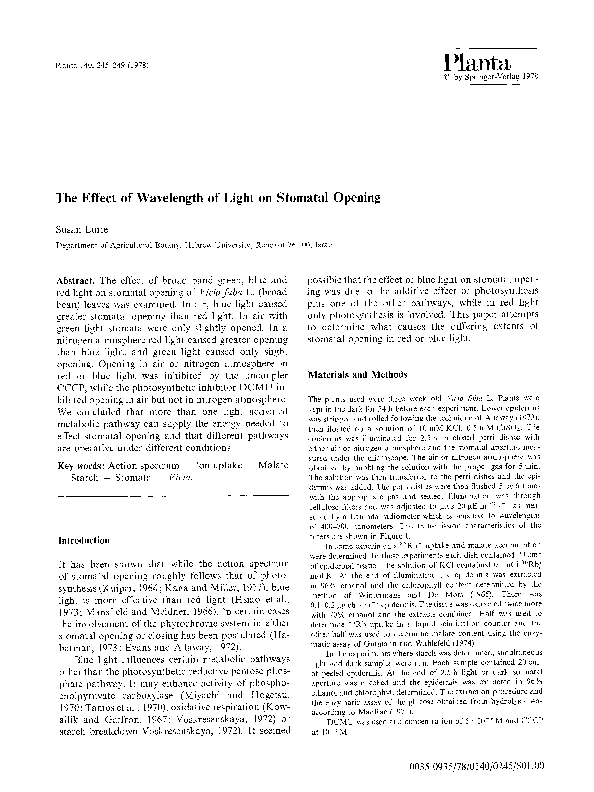 When is the stomata open picture