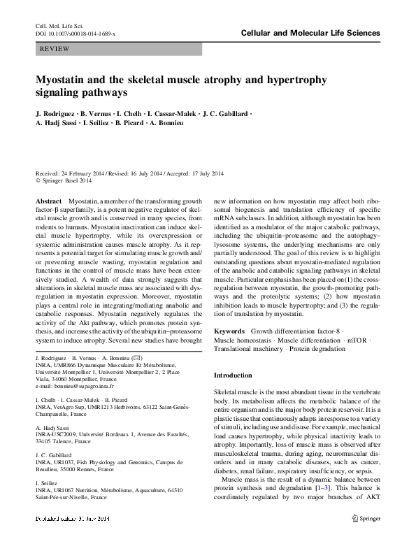 What is a hypertrophy image