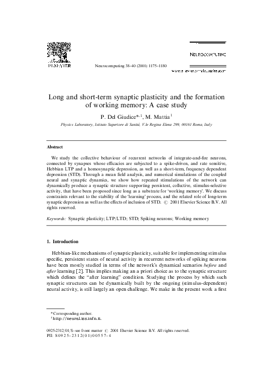 (PDF) Long and short-term synaptic plasticity and the formation of ...