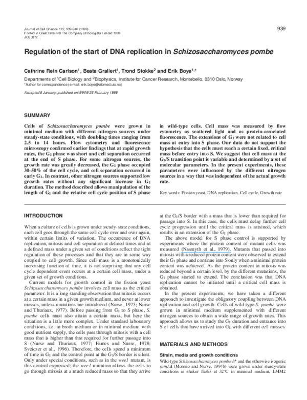 (PDF) Regulation of the start of DNA replication in Schizosaccharomyces ...