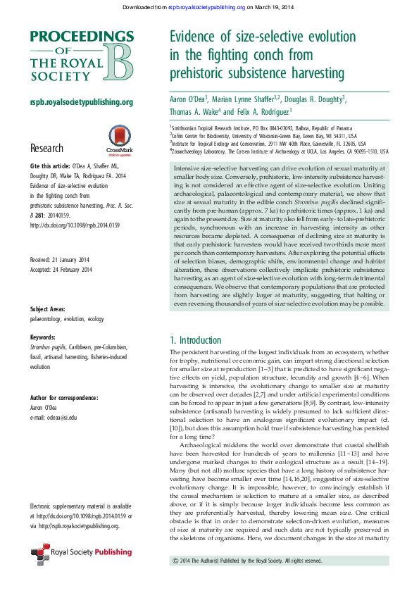 (PDF) Evidence of size-selective evolution in the fighting conch from ...
