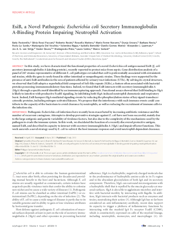 (PDF) EsiB, a Novel Pathogenic Escherichia coli Secretory ...
