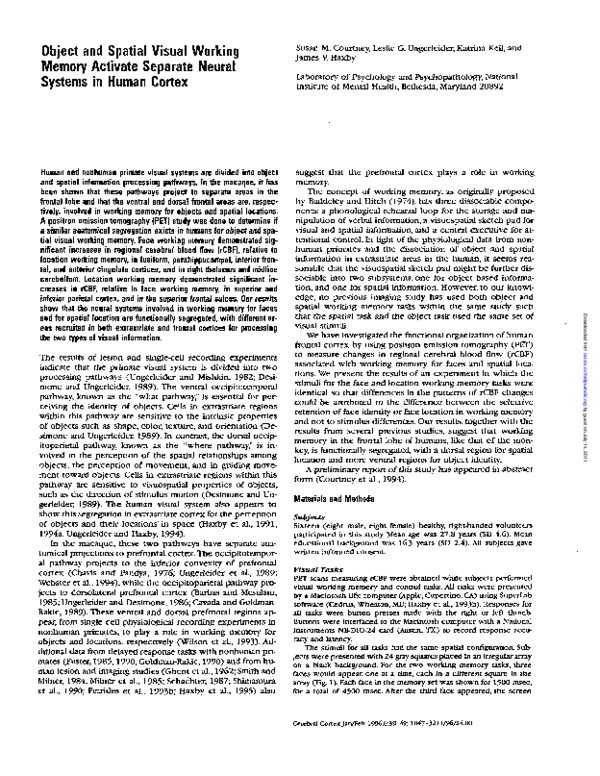 (PDF) Object and Spatial Visual Working Memory Activate Separate Neural ...