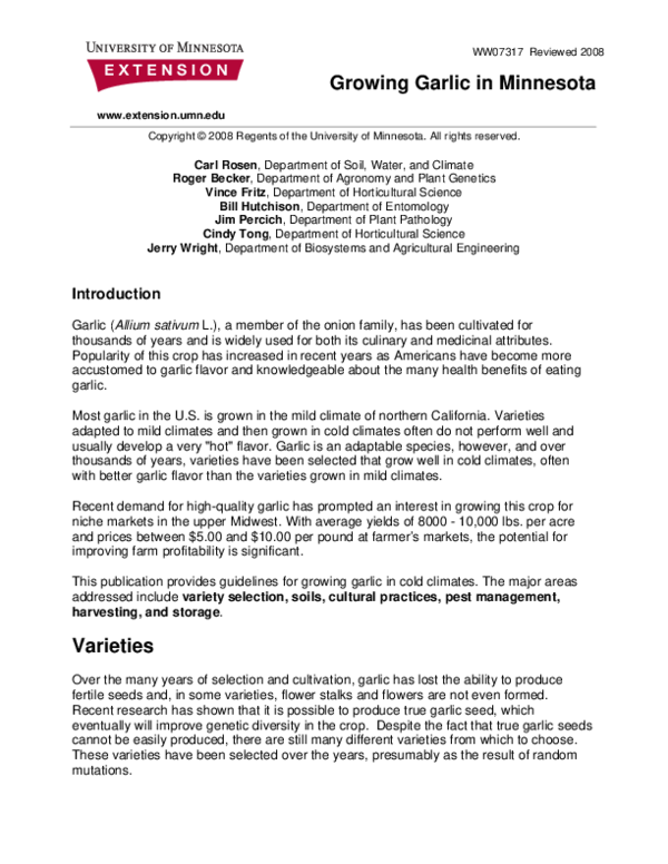 (PDF) Growing Garlic in Minnesota Carl Rosen and Eric Beckendorf