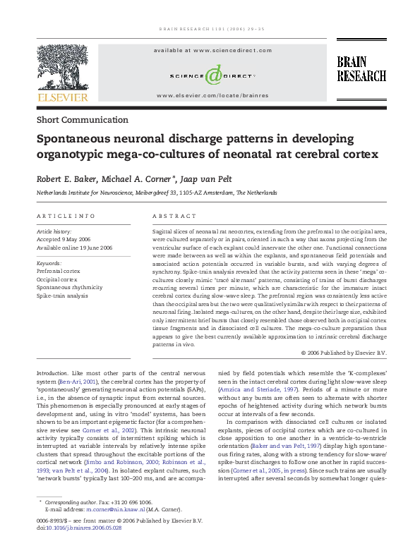 (PDF) Spontaneous neuronal discharge patterns in developing organotypic ...