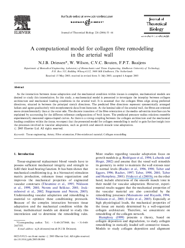 (PDF) A computational model for collagen fibre remodelling in the ...