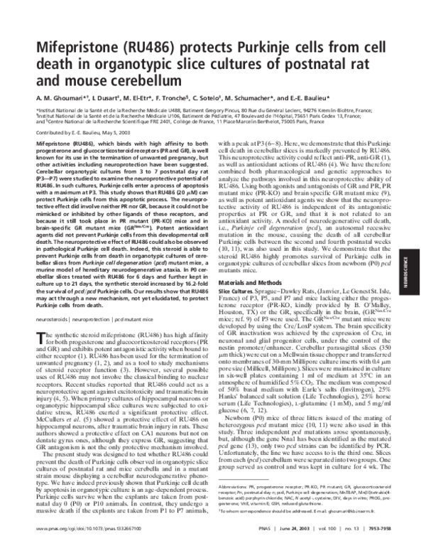 (PDF) Mifepristone (RU486) protects Purkinje cells from cell death in ...