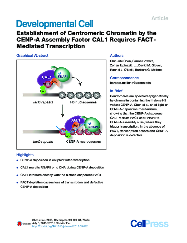 (PDF) Establishment of Centromeric Chromatin by the CENP-A Assembly ...