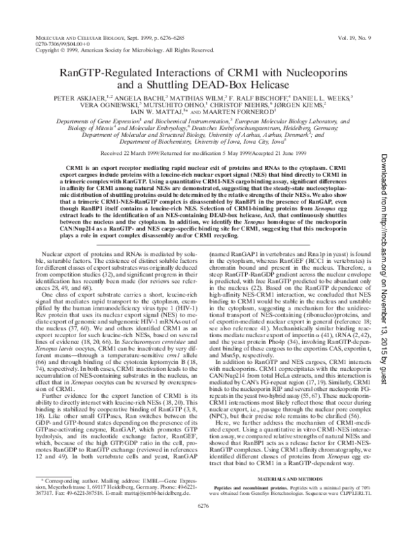 (PDF) RanGTP-regulated interactions of CRM1 with nucleoporins and a ...