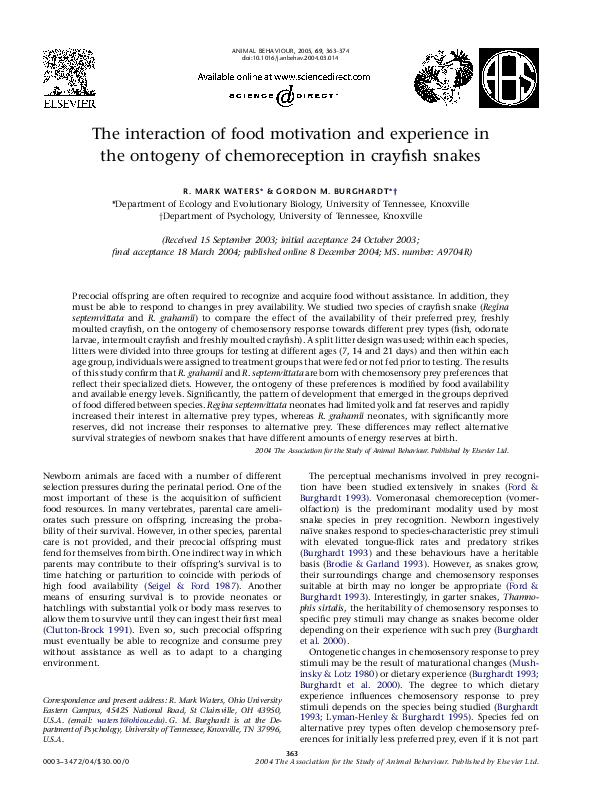 (PDF) The interaction of food motivation and experience in the ontogeny ...