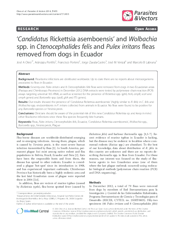 Thesis on wolbachia 03 picture