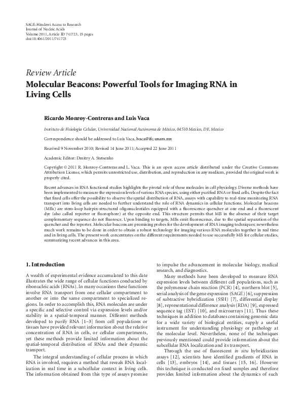 (PDF) Molecular Beacons: Powerful Tools for Imaging RNA in Living Cells