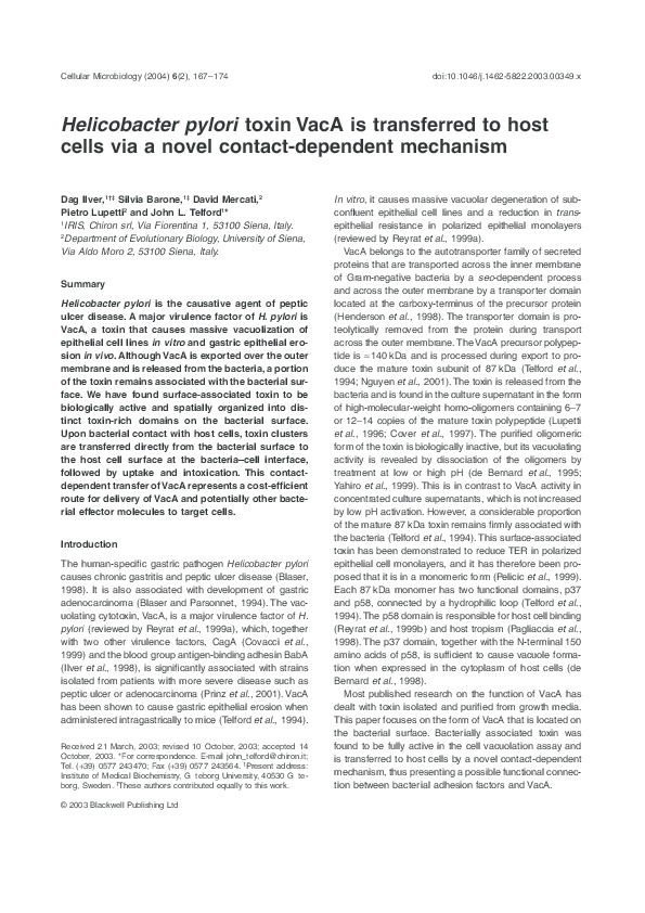 Dissertation vs thesis picture