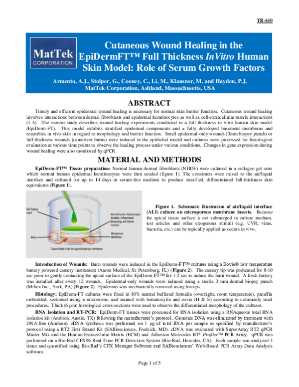 (PDF) Cutaneous wound healing in the EpiDerm-FT full thickness in vitro ...