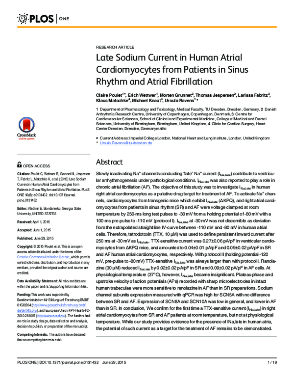 (PDF) Late Sodium Current in Human Atrial Cardiomyocytes from Patients ...