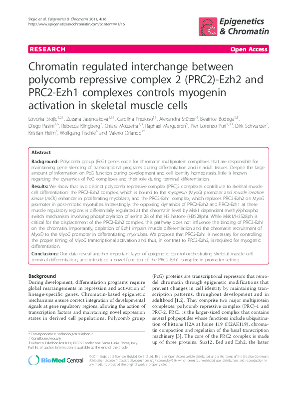 (PDF) Chromatin regulated interchange between polycomb repressive ...
