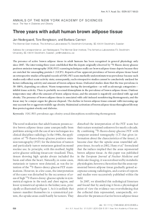 (PDF) Three years with adult human brown adipose tissue