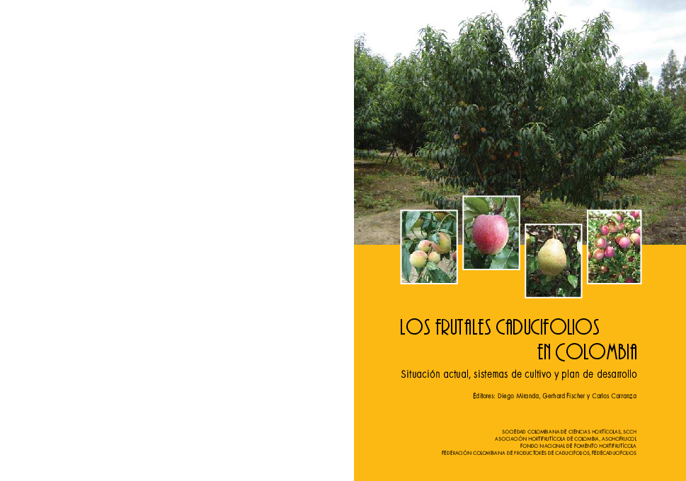 Russeting en nectarinas y diabetes Russeting en nectarinas y diabetes