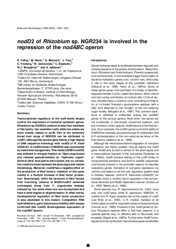 Thesis on rhizobium 07 picture