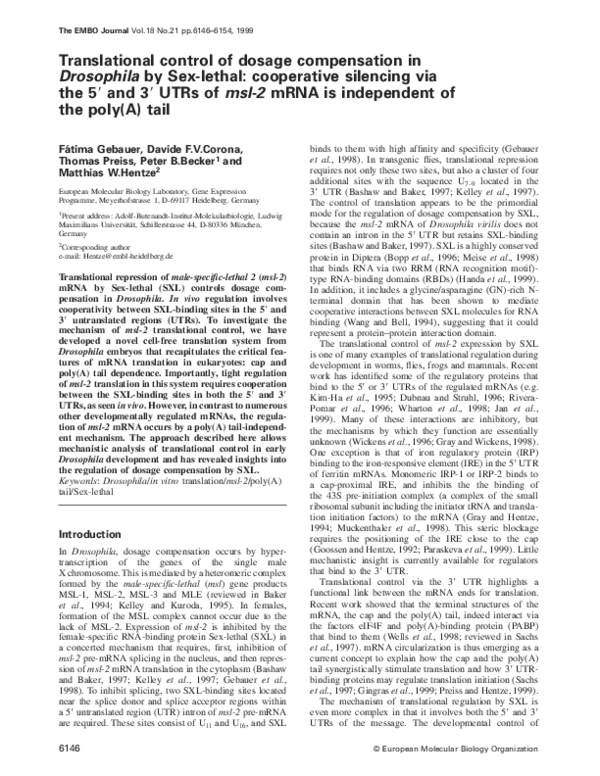 (PDF) Translational control of dosage compensation in Drosophila by Sex ...