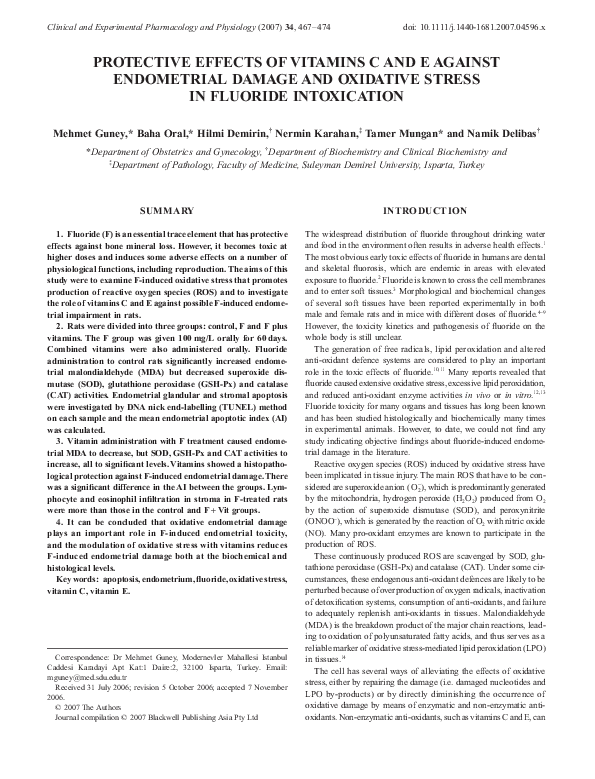 (PDF) PROTECTIVE EFFECTS OF VITAMINS C AND E AGAINST ENDOMETRIAL DAMAGE ...