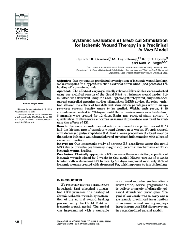 (PDF) Systemic Evaluation of Electrical Stimulation for Ischemic Wound ...