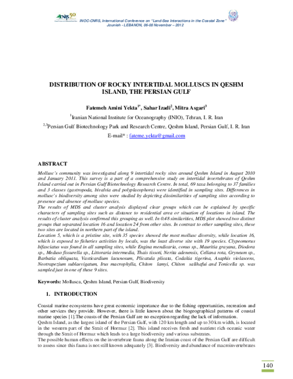 Analyze the rocky shore ecosystem essay picture