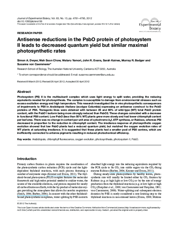 (PDF) Antisense reductions in the PsbO protein of photosystem II leads ...