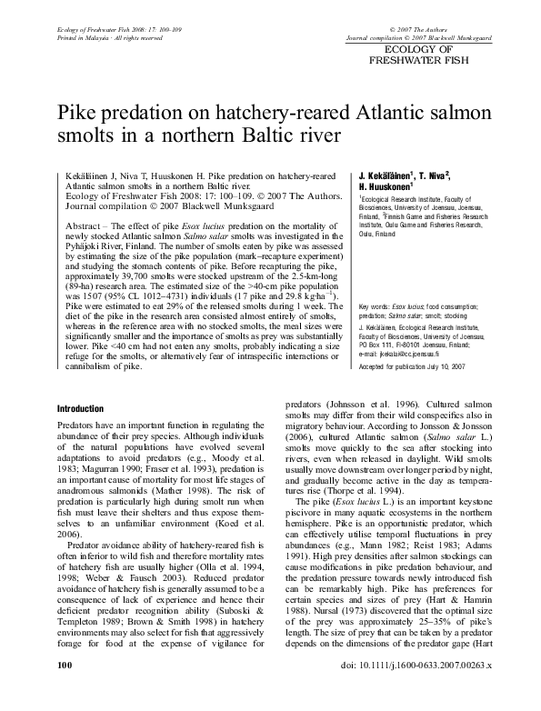 (PDF) Pike predation on hatcheryreared Atlantic salmon smolts in a