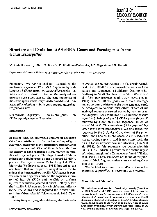 (PDF) Structure and evolution of 5S rRNA genes and pseudogenes in the ...