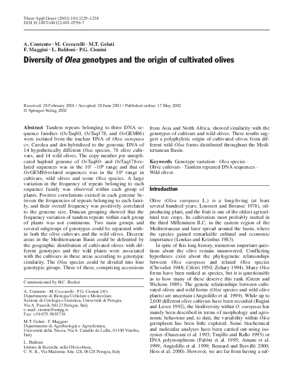 (PDF) Diversity of Olea genotypes and the origin of cultivated olives