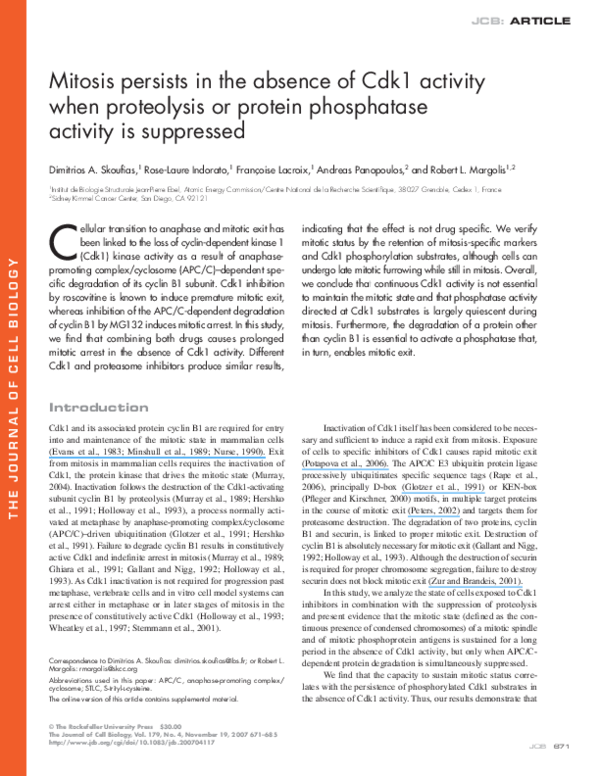 (PDF) Mitosis persists in the absence of Cdk1 activity when proteolysis ...