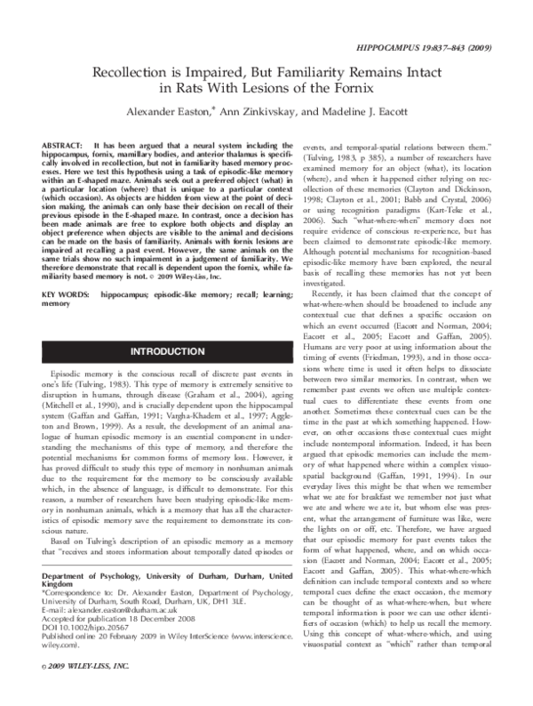 Recollection essay summary 06 picture