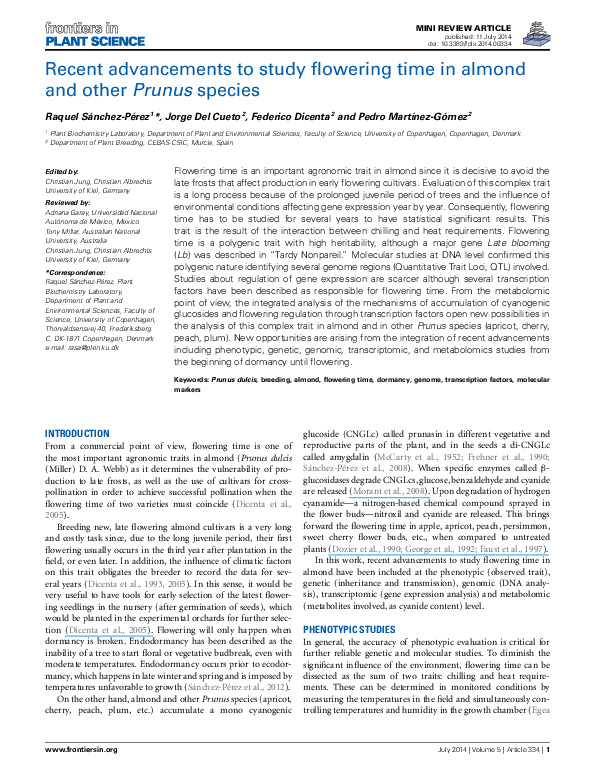 Almond benefits image