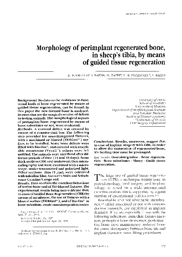 (PDF) Morphology of peri-implant regenerated bone, in sheep's tibia, by ...
