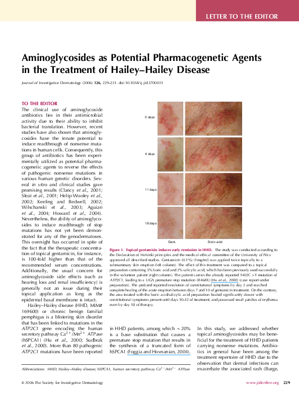 (PDF) Aminoglycosides as Potential Agents in the