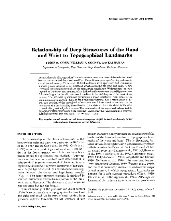 (PDF) Relationship of deep structures of the hand and wrist to ...