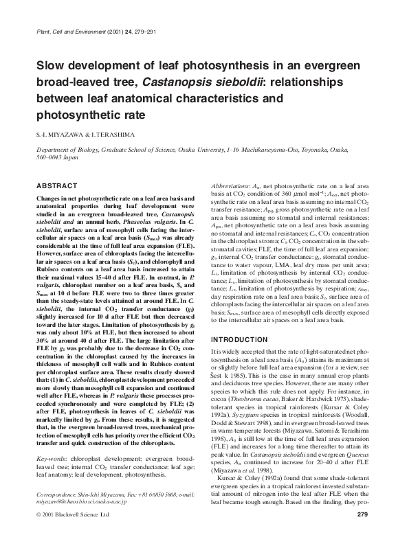(PDF) Slow development of leaf photosynthesis in an evergreen broad ...