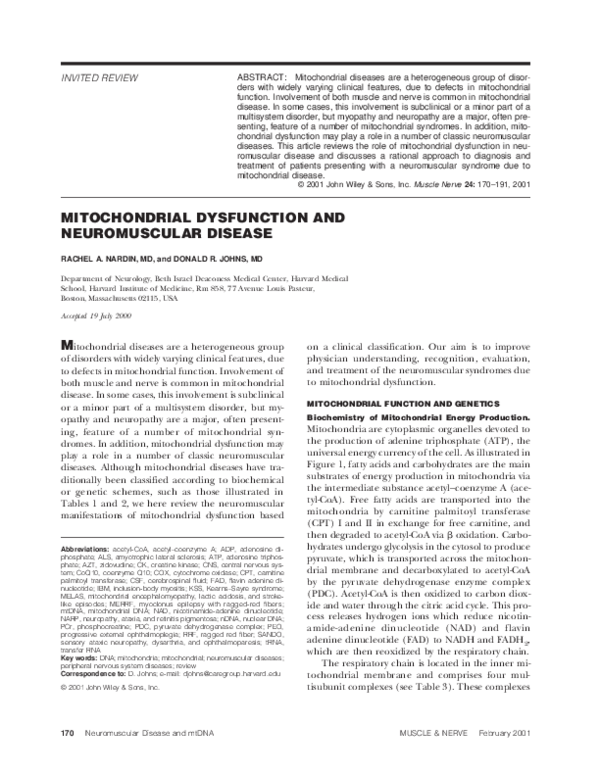 (PDF) Mitochondrial dysfunction and neuromuscular disease