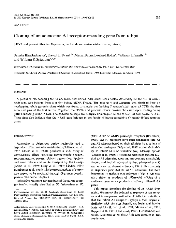 (PDF) Cloning of an adenosine A1 receptor-encoding gene from rabbit
