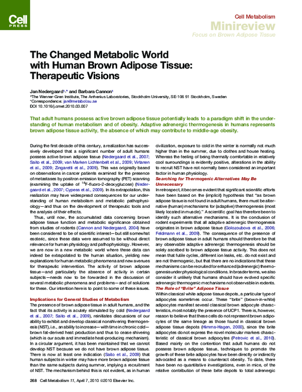 (PDF) The Changed Metabolic World with Human Brown Adipose Tissue ...
