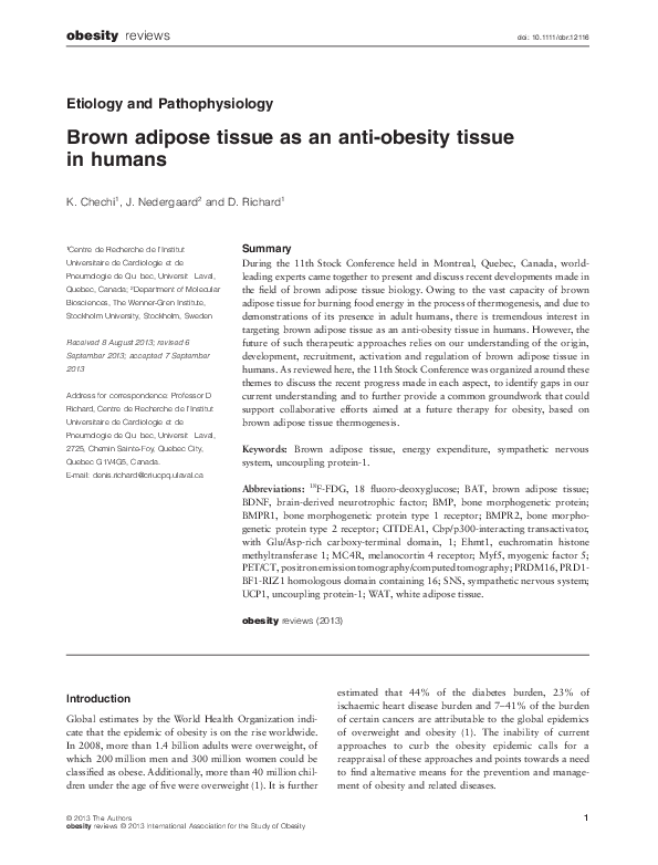 (PDF) Brown adipose tissue as an anti-obesity tissue in humans
