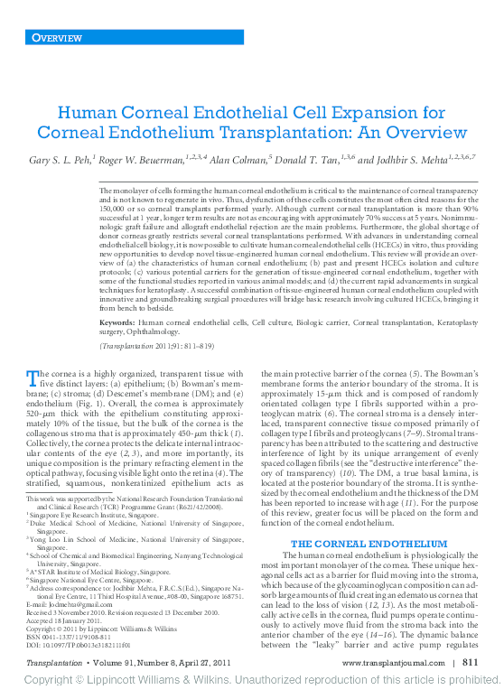 (PDF) Human Corneal Endothelial Cell Expansion for Corneal Endothelium ...